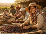 Raisin Prices Hold Firm as New Turkish and Indian Crop Signals Build