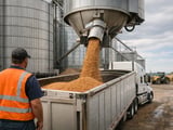 Lentils: Festive Demand Meets Weather Risk as Crop Delays Tighten Pulses Complex