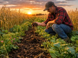 Oats Caught Between Flat Cash Prices and Softer Futures Ahead of WASDE