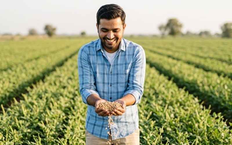 Guar Seeds Under Gentle Pressure as Oilfield Demand Pauses