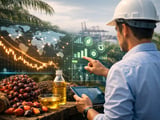 Palm Oil Slips to Two‑Week Low as Malaysian Stocks Climb to Eight‑Month High