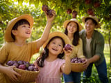 Vietnam Dried Passion Fruit Edges Higher on Firm Export Demand