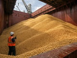 Chinese Soybean FOB Prices Edge Higher as Brazil Flows Stay Strong