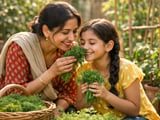 Indian Dill Seed Prices Ease Slightly as Monsoon Rains Hit Delhi-NCR