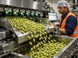 Cardamom market softens on weak kirana buying while export prices stay firm