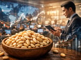 China Pine Nut FOB Prices Edge Higher as Global Supply Tightens