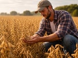 Soybeans: Strong Asian Crushing Margins Support Prices as Ukraine Softens