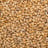 Wheat — feed grade, moisture: 14 % max