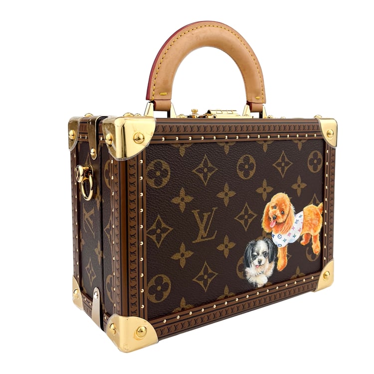 Louis Vuitton Petit Valise - IMG_1288.jpg
