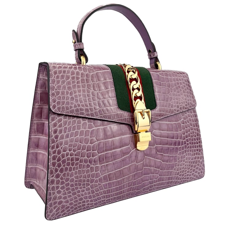 Gucci Sylvie Medium Top Handle Bag (LIMITED EDITION) - IMG_1462.jpg