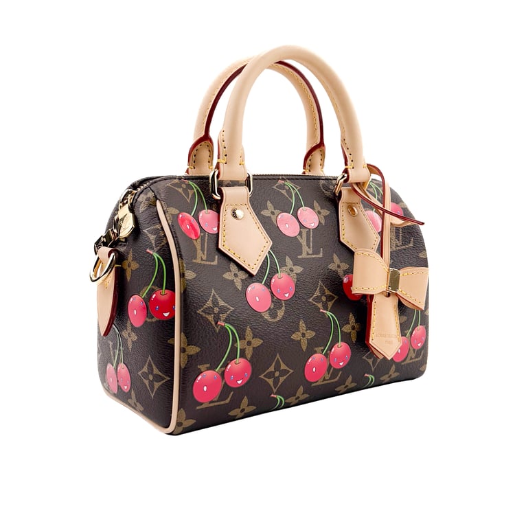 Louis Vuitton Cherry Monogram Canvas Speedy 25 Bag - IMG_9798.jpg