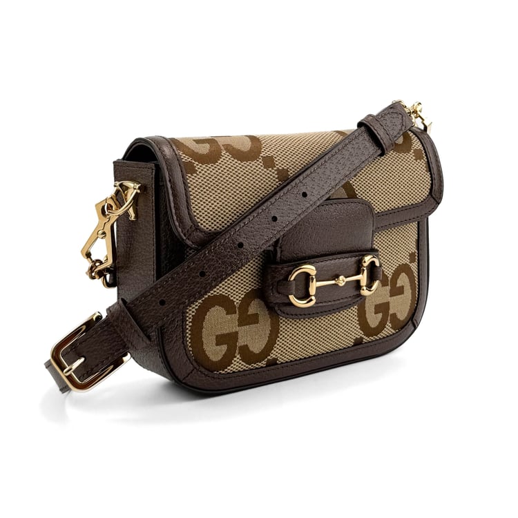 Gucci Horsebit 1955 Mini - IMG_3392.jpg