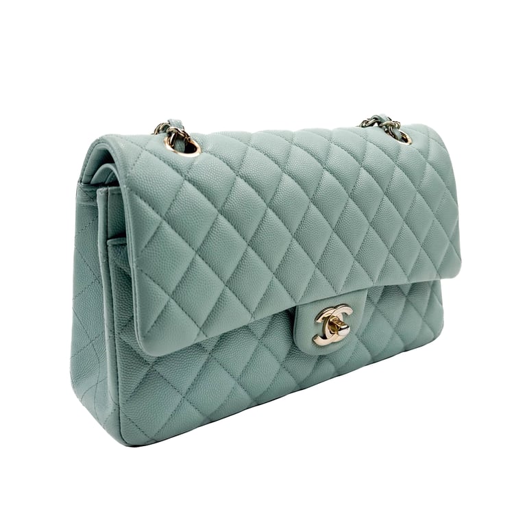 Chanel Classic Medium Double Flap Bag - IMG_9006.jpg
