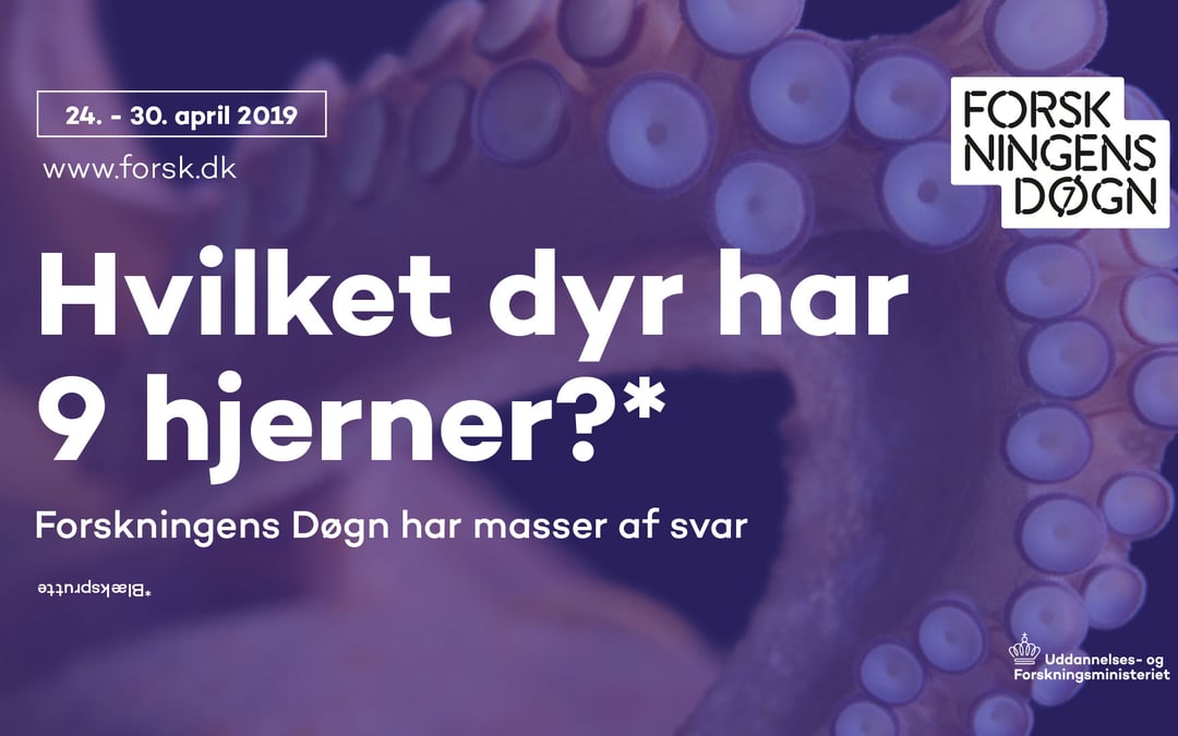 Hvilket dyr kan accelerere hurtigere end en rumraket?