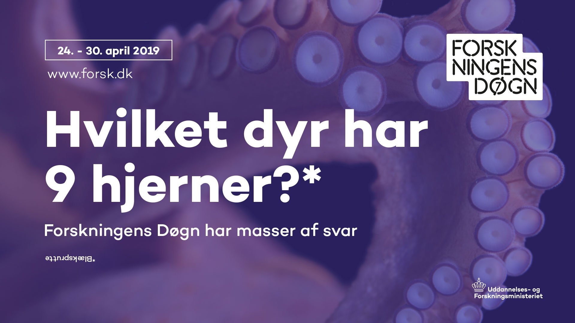 Hvilket dyr kan accelerere hurtigere end en rumraket?