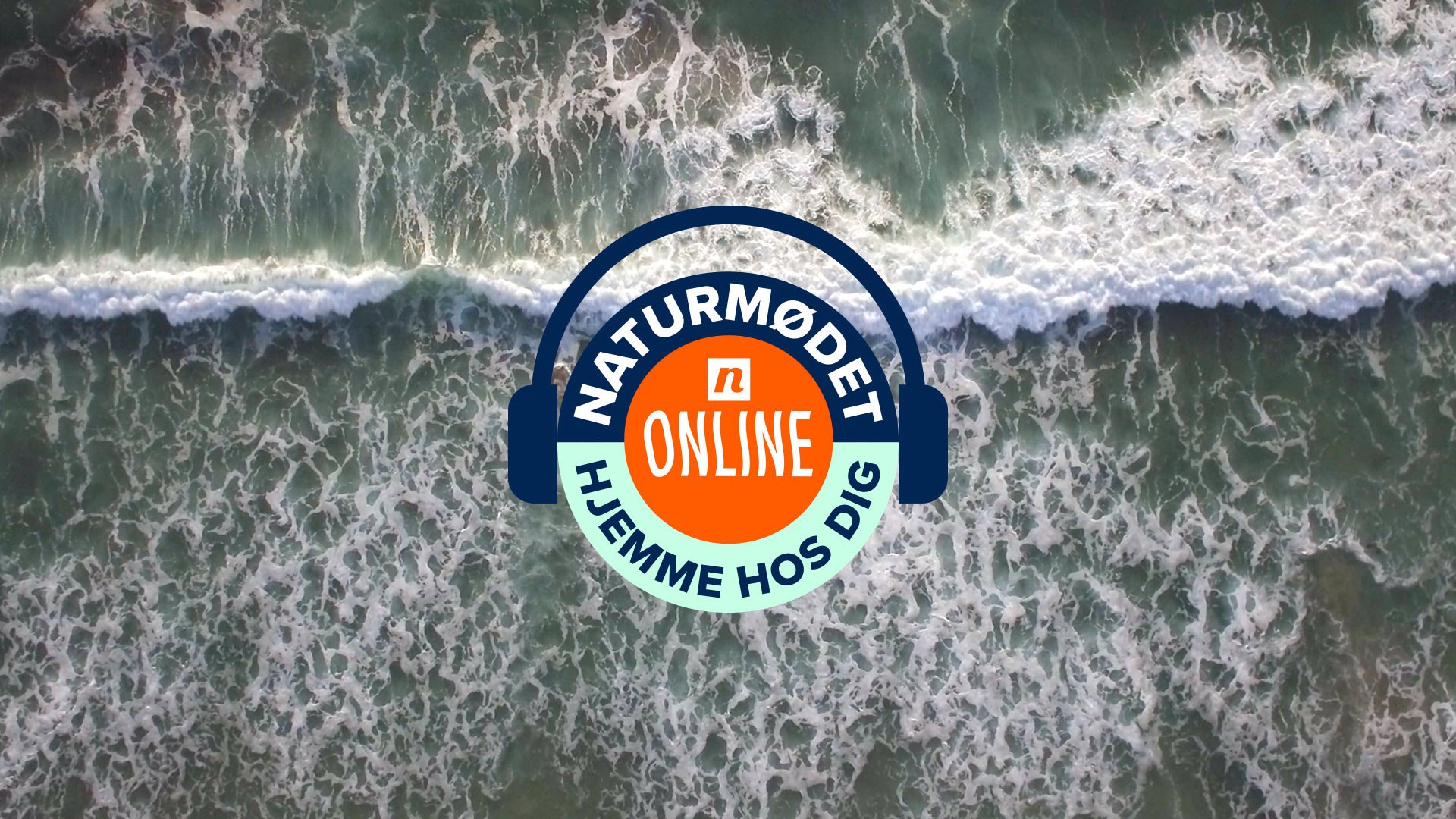 Danmarks første online folkemøde