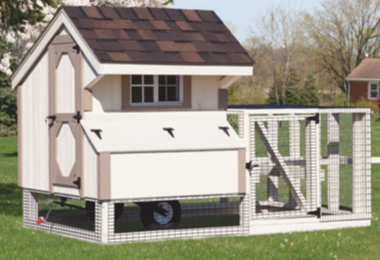 Img Animal Structures Seg Chicken Houses
