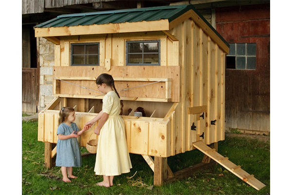4x6 Quaker Chicken House for sale in Virginia