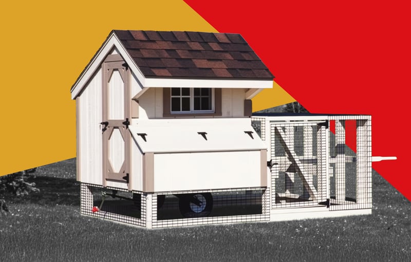 A Capitol Sheds Chicken Coop