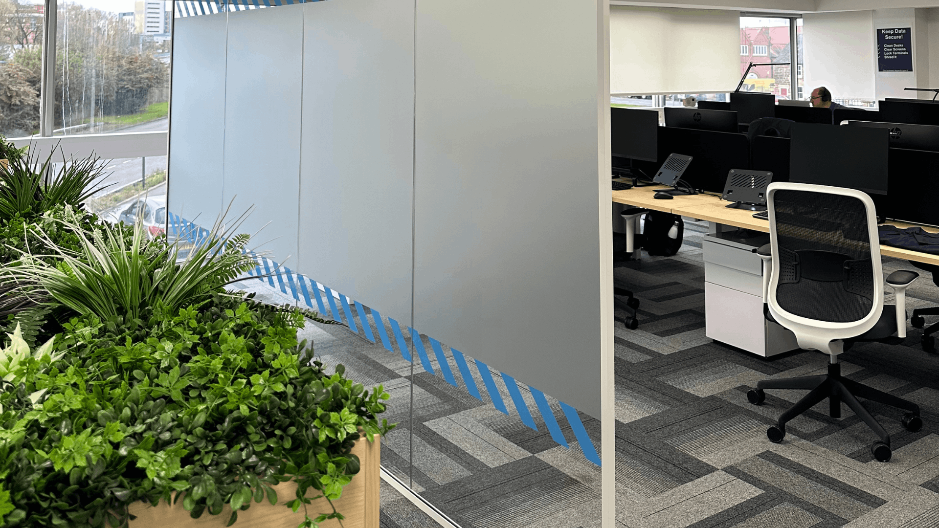 Open-plan office glazing for the license check office fit out with frosted and blue manifestation, planter storage, bench desks, task chair and carpet tile flooring