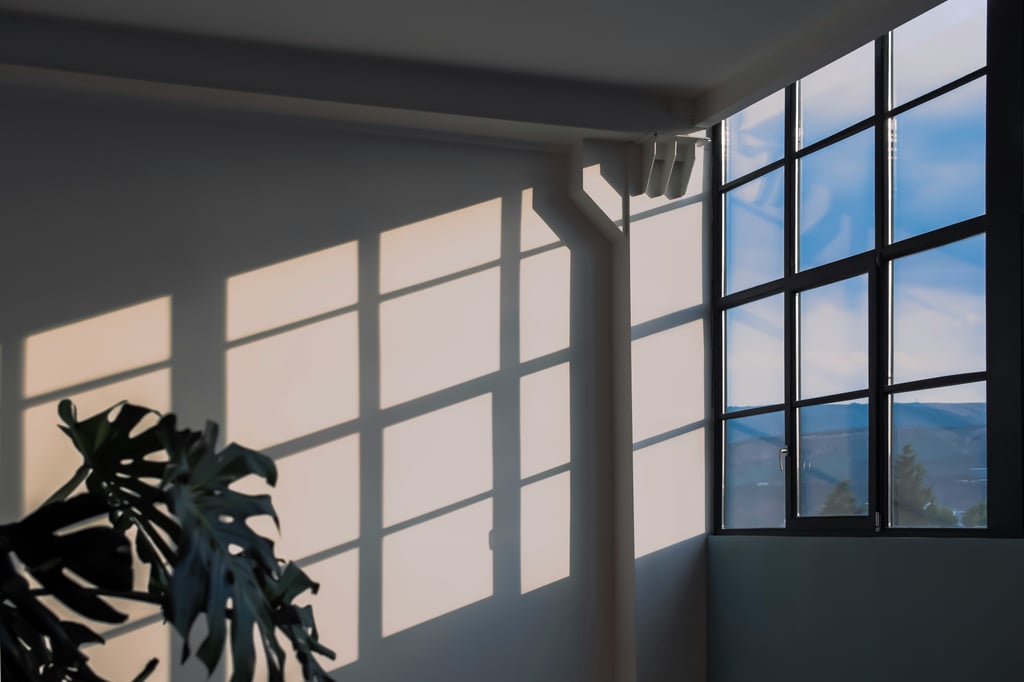 Amel majanovic r8r2i7fsaie unsplash from aci