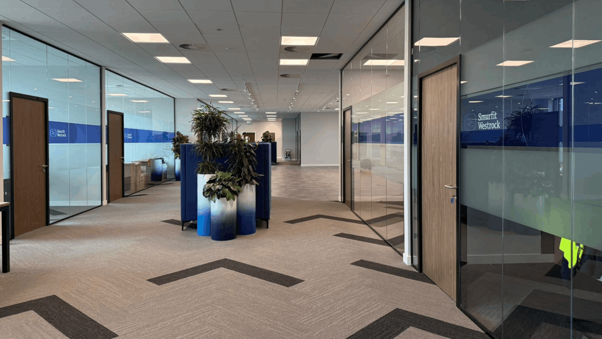 Completed smurfit westrock office fit-out with glass partitions, feature planting and patterned carpet tiles