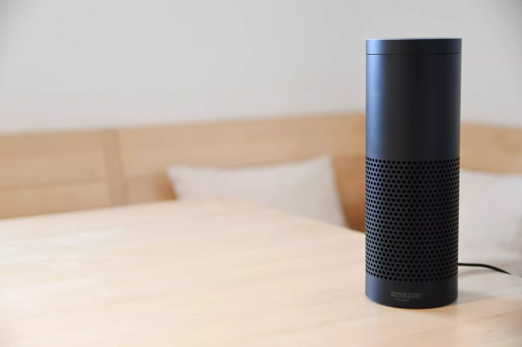 Amazon echo from aci