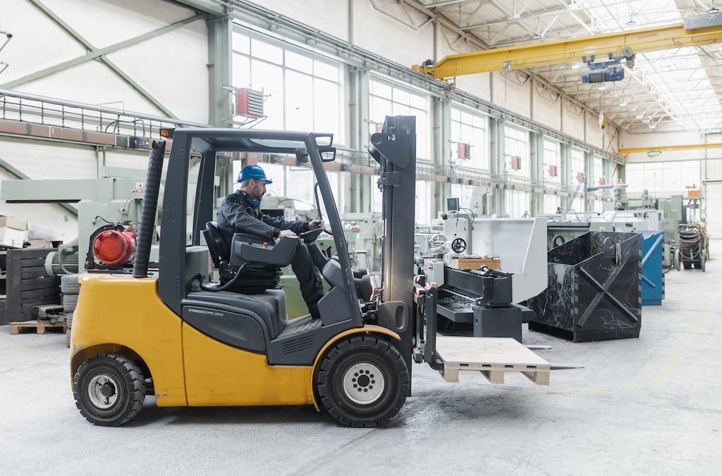 happy mature man fork lift truck driver lifting pa 2024 10 18 10 07 54 utc 1 from Metreel