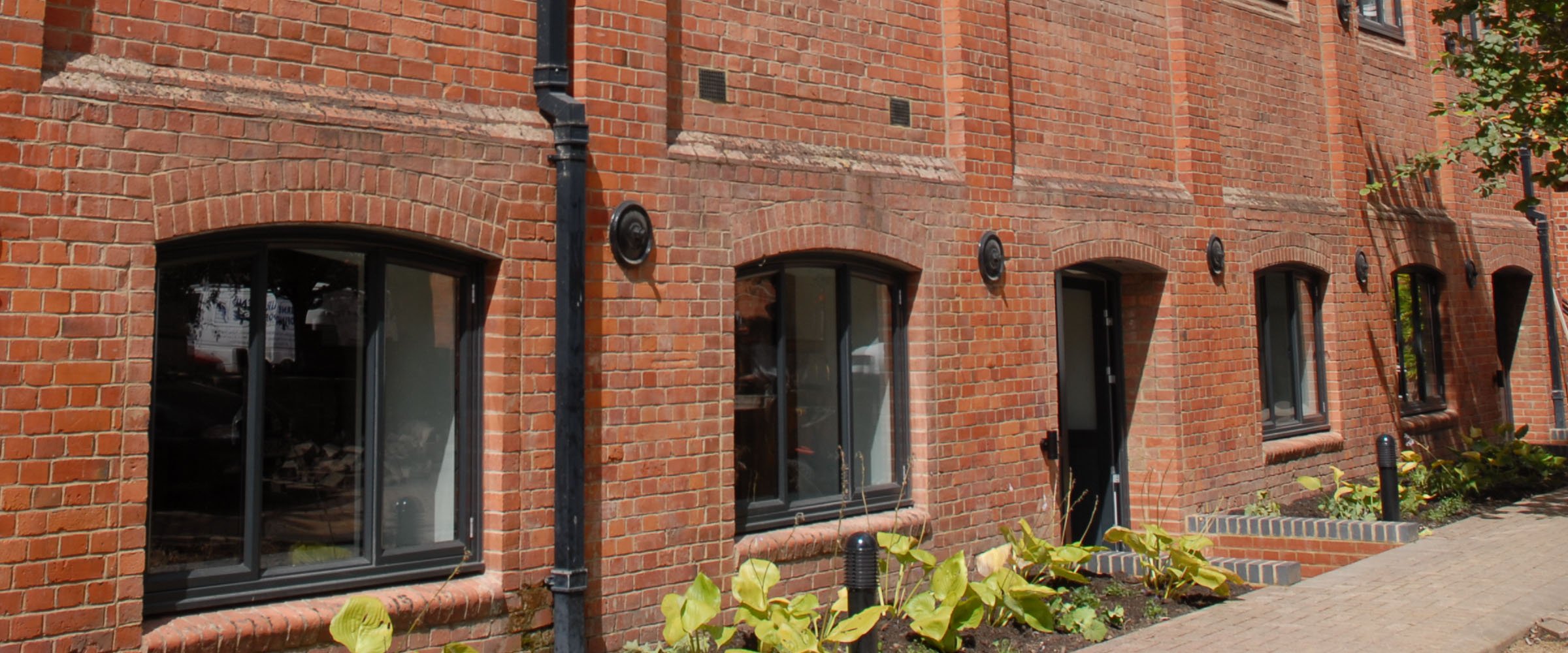 People working on laptops