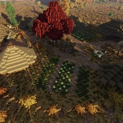 Amber — The North