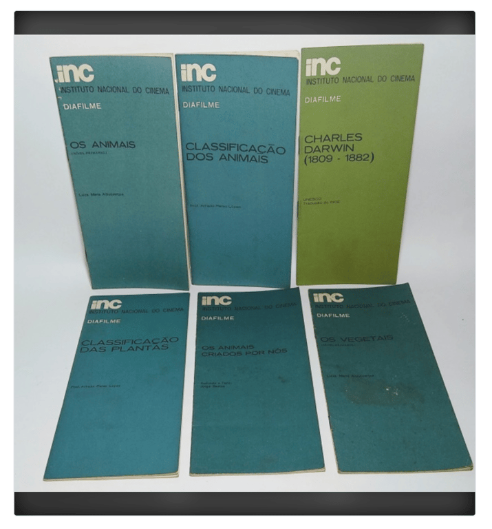 Fotografia colorida mostra seis folhetos verticais, dispostos lado a lado em duas fileiras, com capas em tons de azul e verde. Todos os materiais são identificados com o logotipo INC – Instituto Nacional do Cinema e a palavra DIAFILME, indicando que se tratam de roteiros ou encartes educativos para projeção audiovisual em sala de aula.