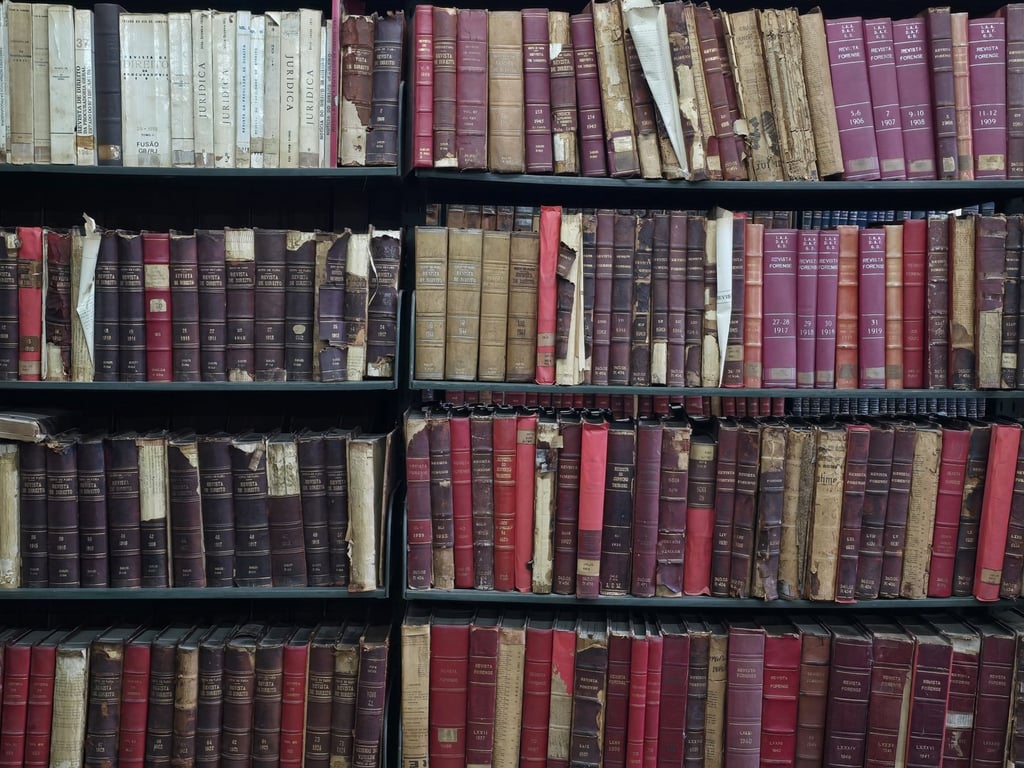 Estante de biblioteca com livros de pesquisa histórica e jurídica organizados por temas relacionados à população negra no Brasil