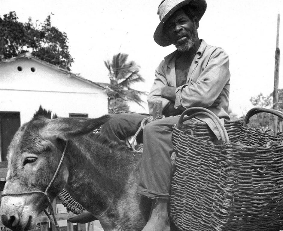 Fotografia de um aguadeiro em Feira de Santana, de Antonio Magalhães. A imagem mostra um homem negro, já idoso, sentado sobre um jumento carregado com dois grandes cestos de fibra trançada, presos um de cada lado do animal. O homem usa chapéu de palha inclinado sobre a cabeça, camisa de mangas compridas aberta na altura do peito e calça comprida. Está com os braços cruzados e olha em direção à câmera. O jumento aparece em primeiro plano, usando cabresto. Ao fundo, vê-se uma construção simples, árvores e um coqueiro. A fotografia registra um aguadeiro, trabalhador responsável pelo transporte e distribuição de água utilizando animais de carga durante o século 20.