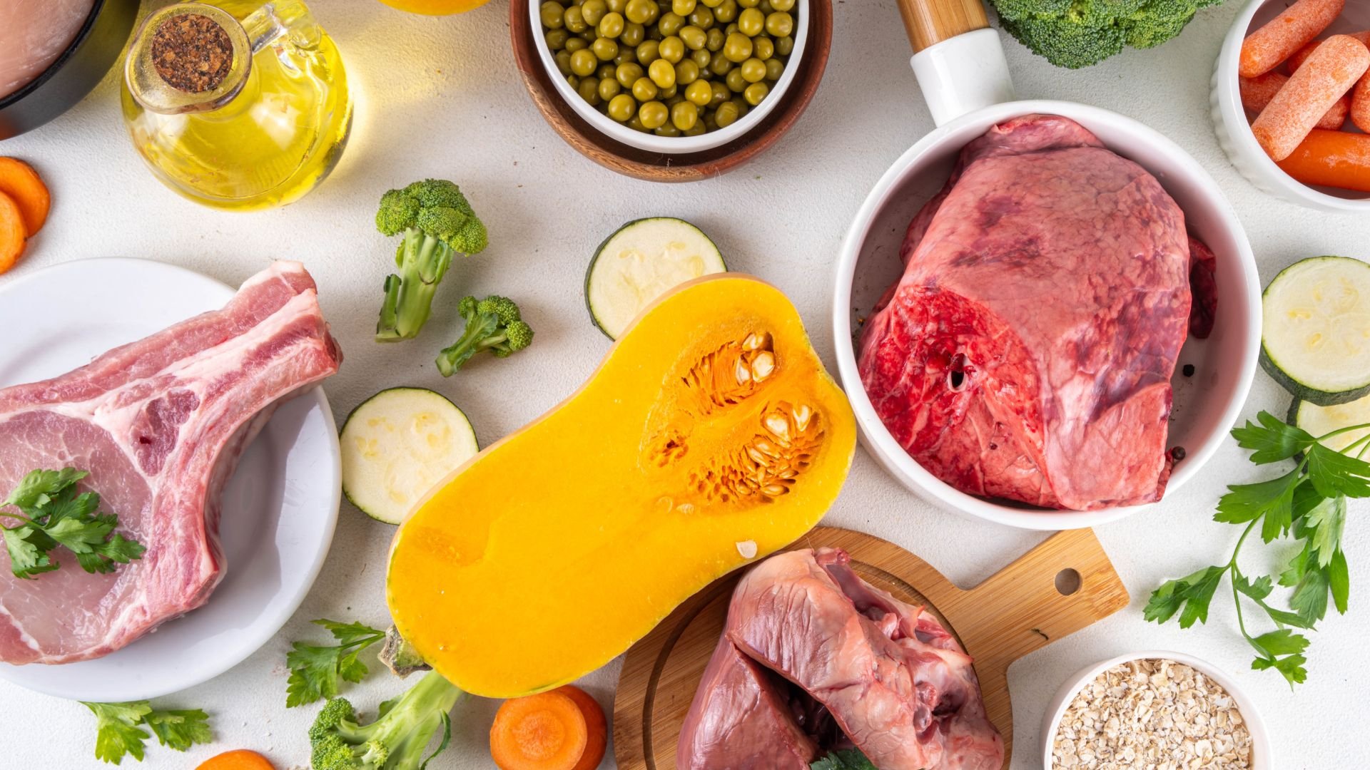 Dieta barf dla psa miska z jedzeniem