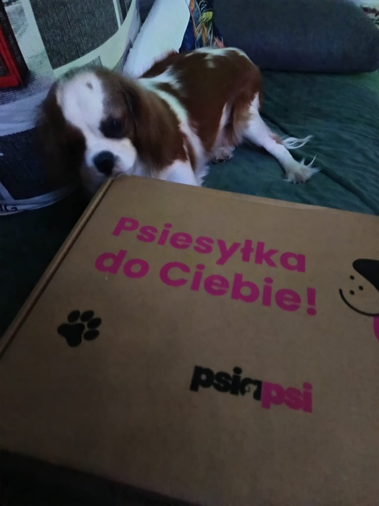 Zdjęcie opinii