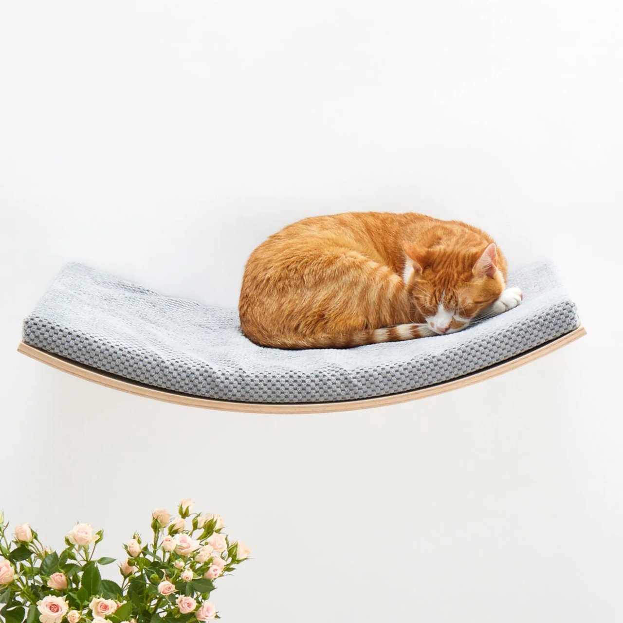 Scandic II Cat Shelf - Image 2