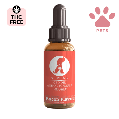 CBD Oil for Dogs (Small Breed Dogs)