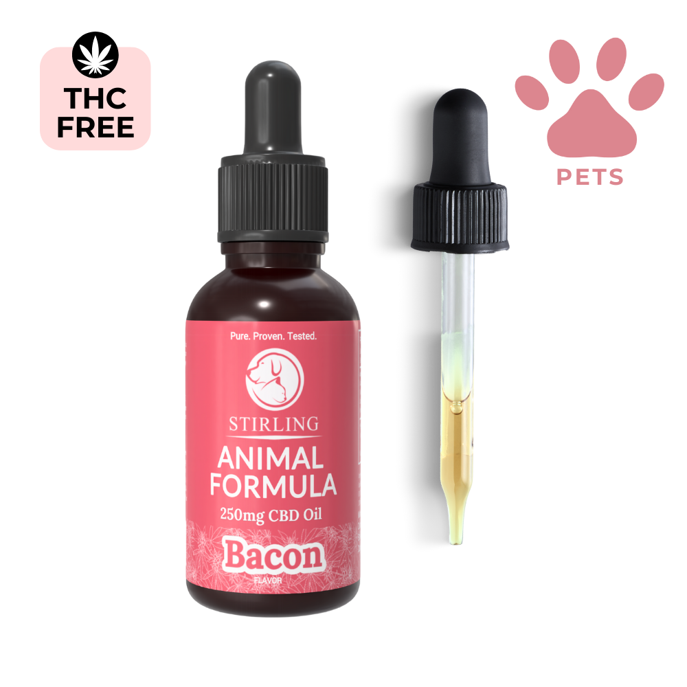 CBD Oil for Dogs (Small Breed Dogs)