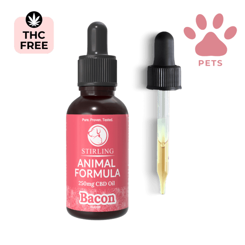 CBD Oil for Dogs (Small Breed Dogs)