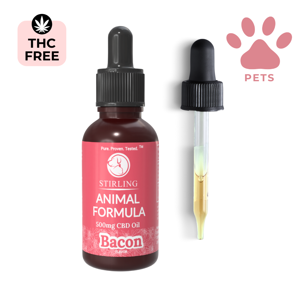 CBD Oil for Dogs (Large Breed Dogs)