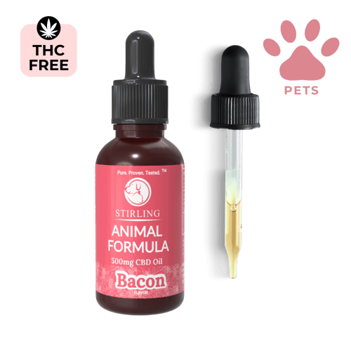 CBD Oil for Dogs (Large Breed Dogs)