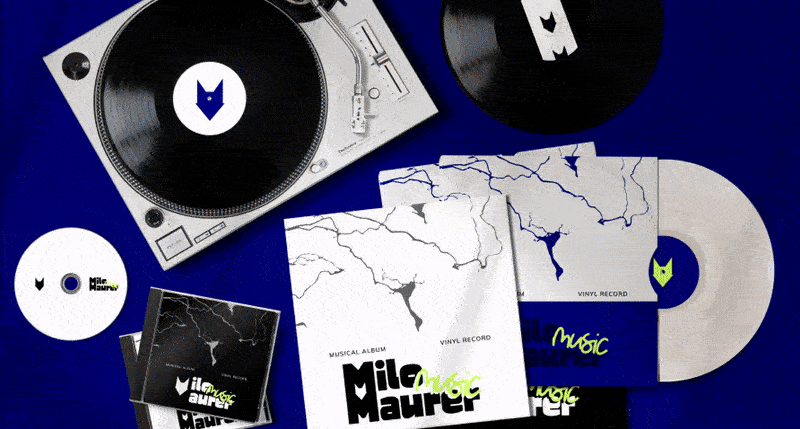 Music Artist Braning