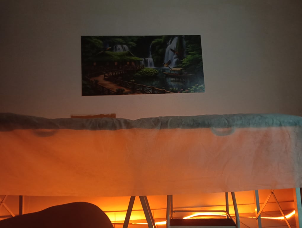 Nutrizenclinica 
