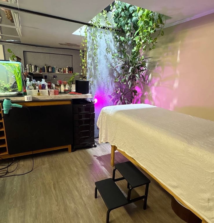 Julia(trans) Barbeira e massoterapeuta Massagem sensual