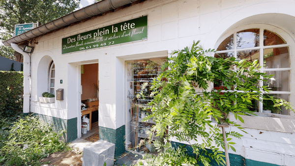 Des Fleurs plein la tête