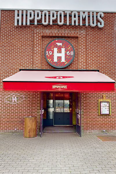 Hippopotamus - Lomme