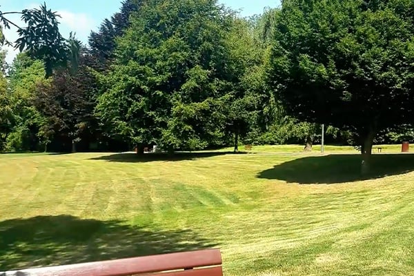 Chateau Dalle - Dumont