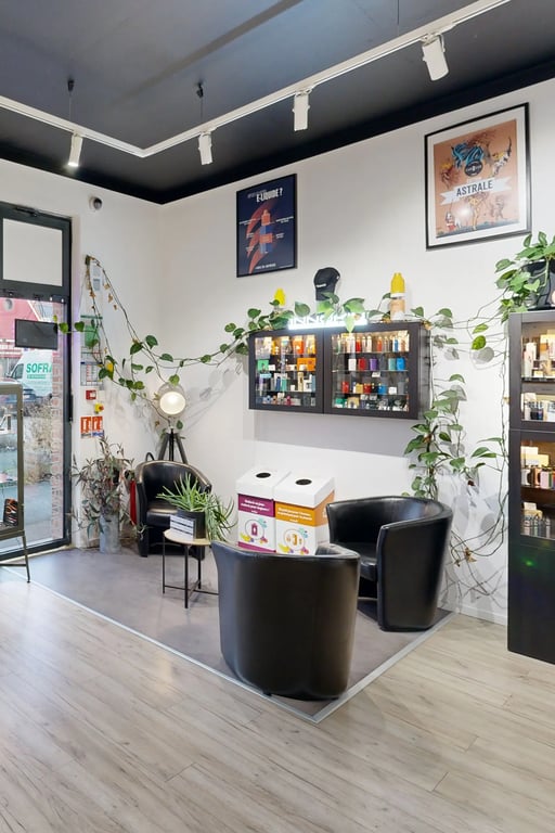 La maison du vapoteur