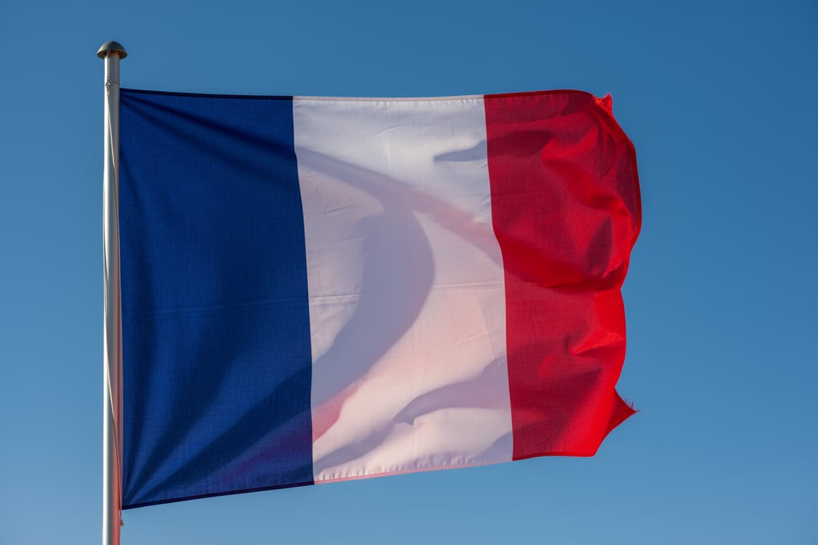 Custom France tricolor national flag - embassy quality with Pantone blue white red