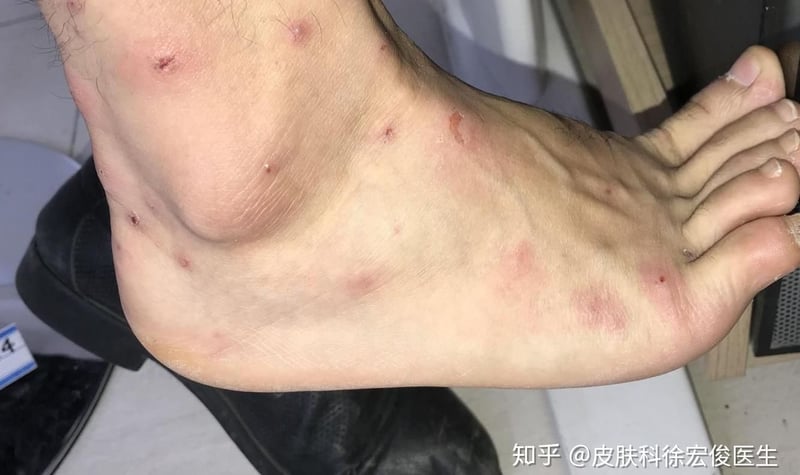 旅行最怕忘了带这些?学生必备的万能清单! | 文字碌碌 旅行最怕忘了带这些?学生必备的万能清单! | 文字碌碌